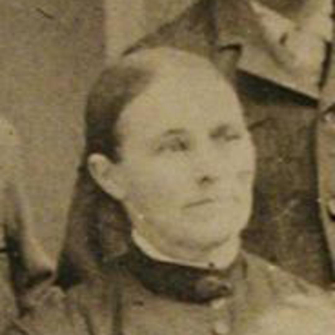 Ellen Cleverley (1850 - 1918) Profile